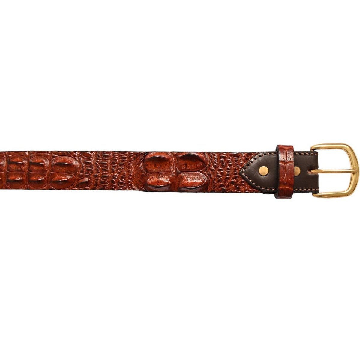 Crocodile Hornback Belt - cowhide backed