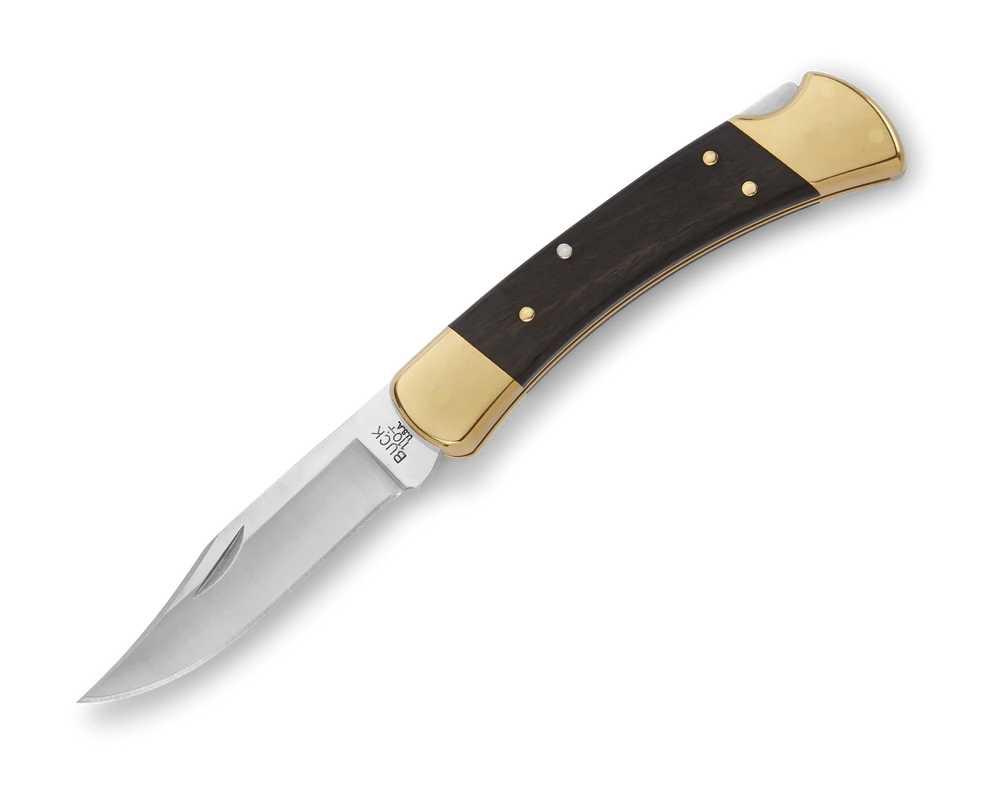 Buck 110 Hunter Knife